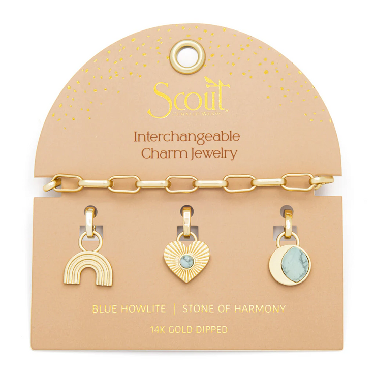interchangeable charm bracelet