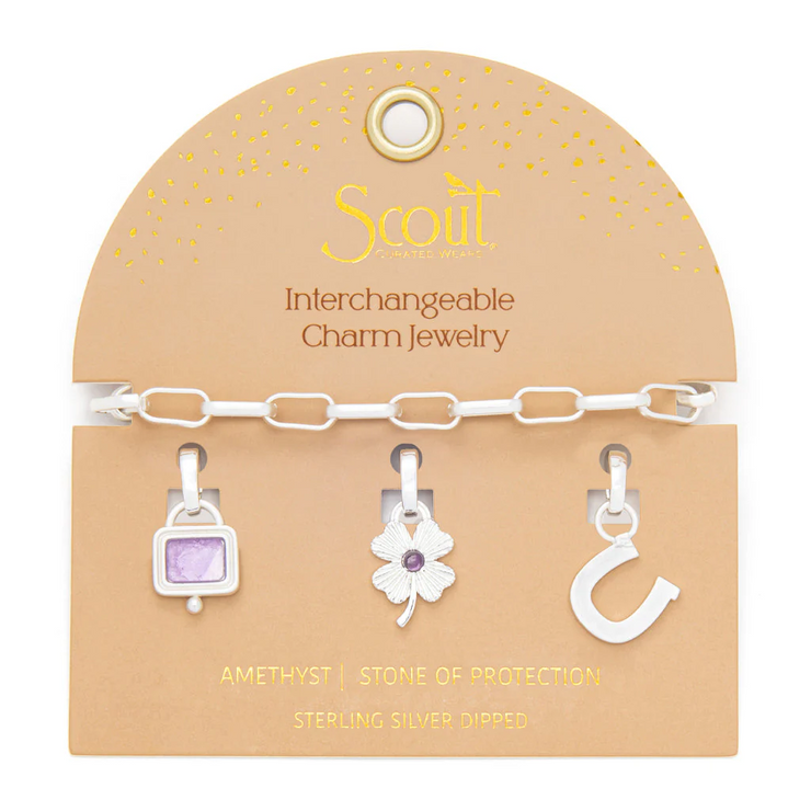 interchangeable charm bracelet