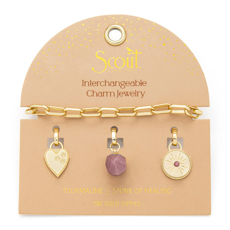 interchangeable charm bracelet
