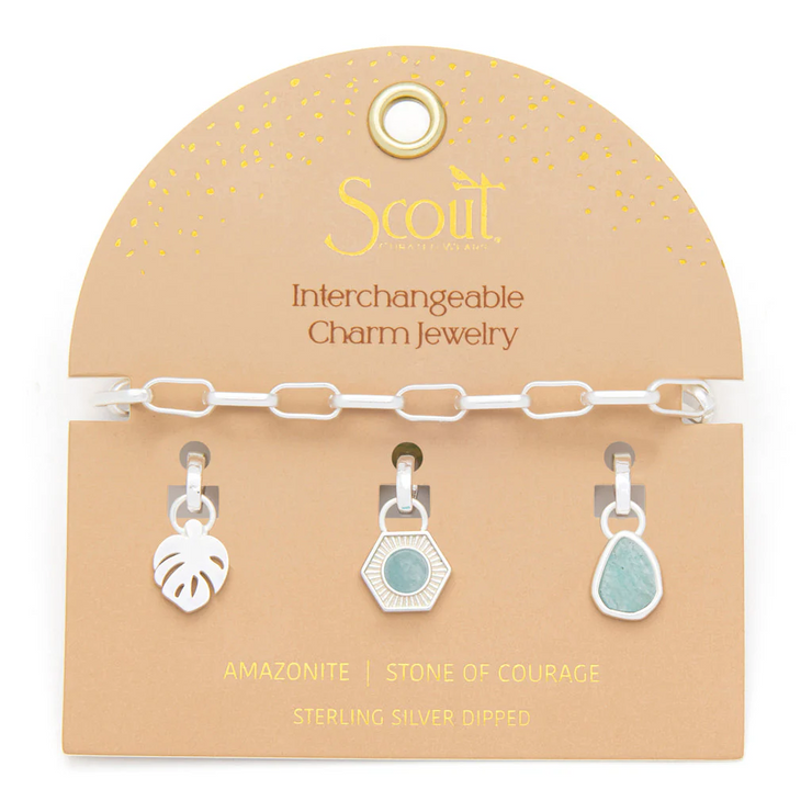 interchangeable charm bracelet