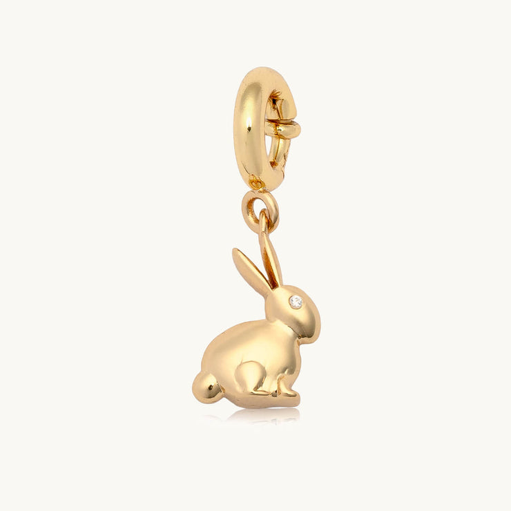 rabbit charm